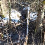 tiny brook with snow at the edge of a forest